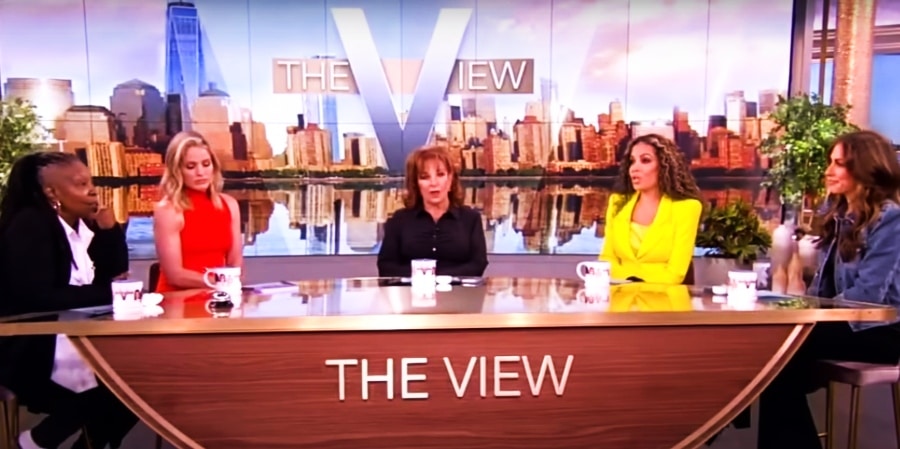 The View panelists, The View, YouTube
