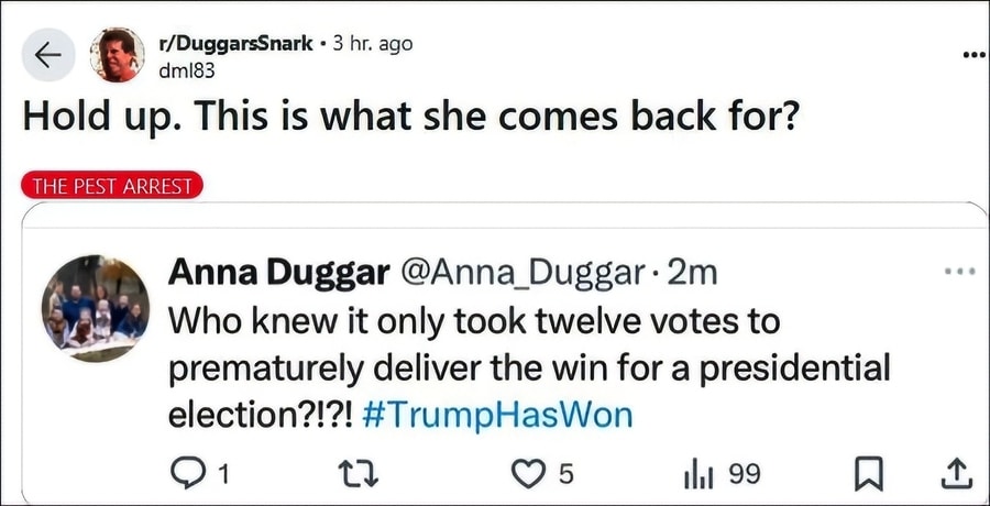 Anna Duggar's silence-breaking Post via Reddit