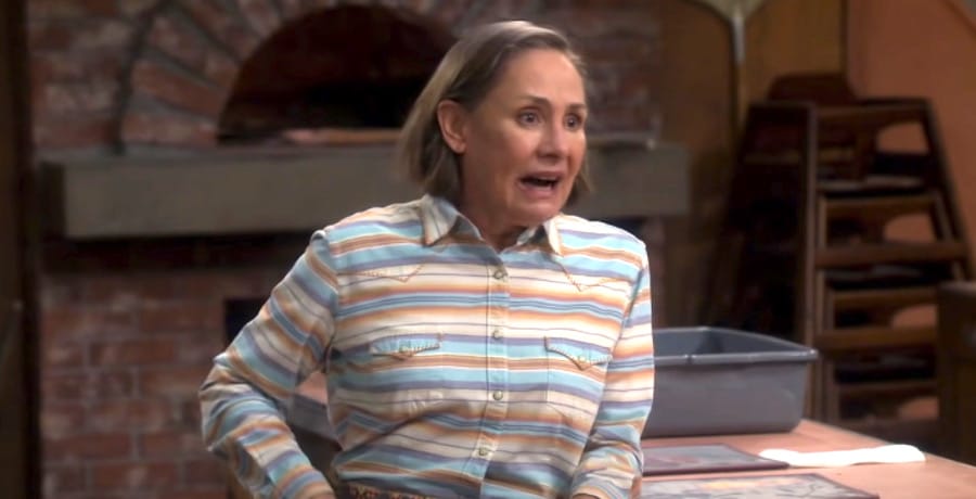 Laurie Metcalf-YouTube