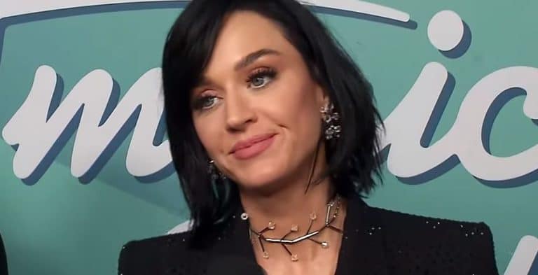 ‘American Idol’ Katy Perry Ignores Fans, Plays With Phone?