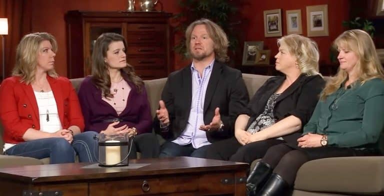 Fans Compare The Browns & ‘Sister Wives’ To ‘Stranger Things’