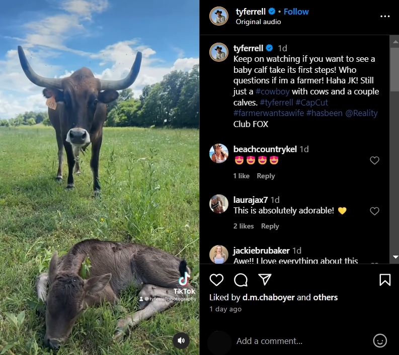 Ty Ferrell's baby calf takes its first steps. - Instagram