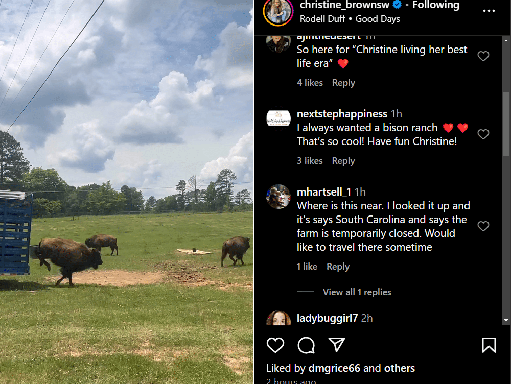 Seeing Bison in NC. - Instagram