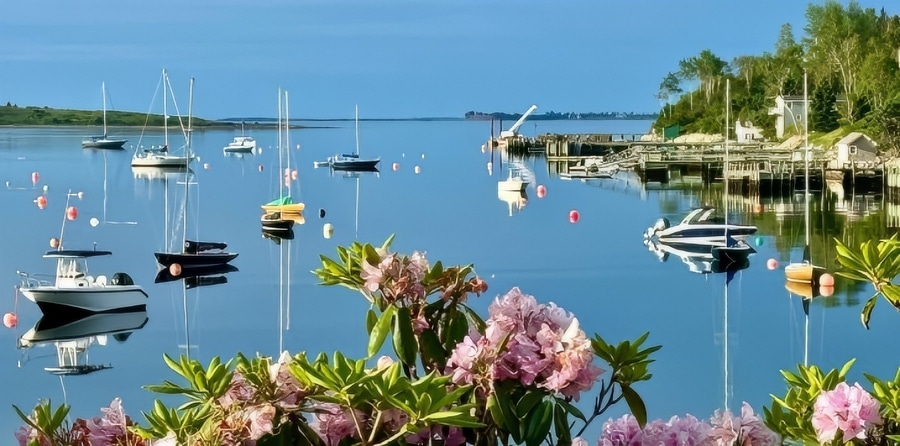 Chester Harbor - Image Credit - Gary Drayton - Instagram