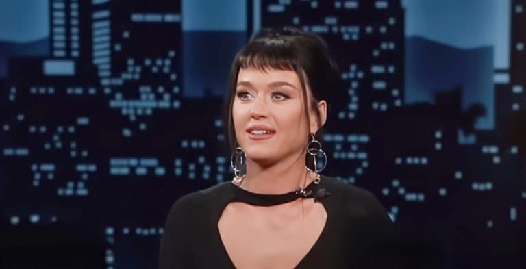 Katy Perry Banks Shocking Amount For Special Performance