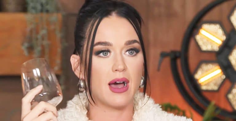 Katy Perry Ripped As Cringe, Worst Thing Fan Ever Heard