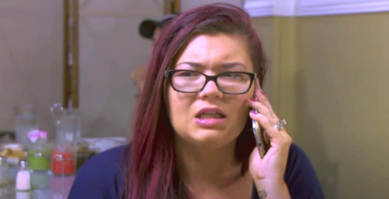 ‘Teen Mom’ Amber Portwood’s Ex Roasted On Dating App