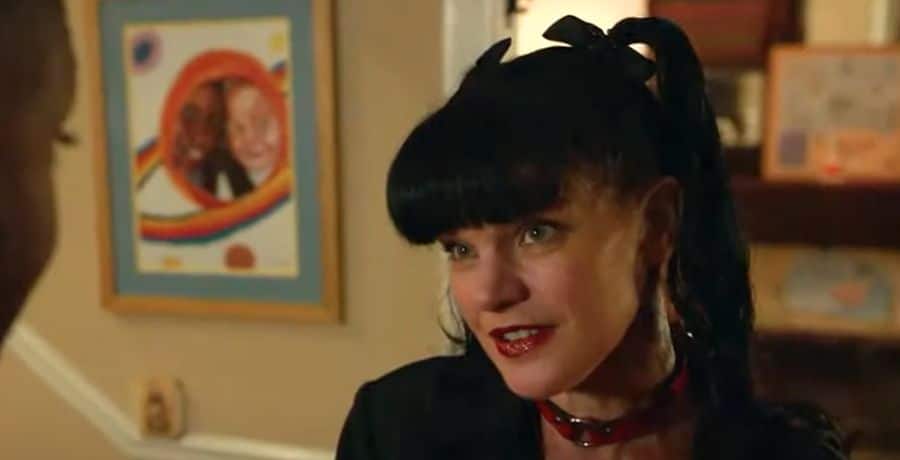 NCIS Pauley Perrette - YouTube/ABC News