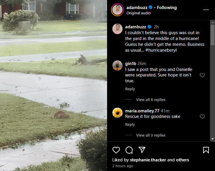 Adam Busby sees a little rabbit having dinner while checking the storms. - Instagram