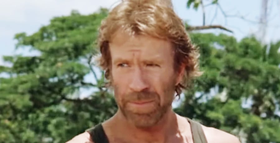 Was Chuck Norris Offered Red's Role On 'That 70's Show'?