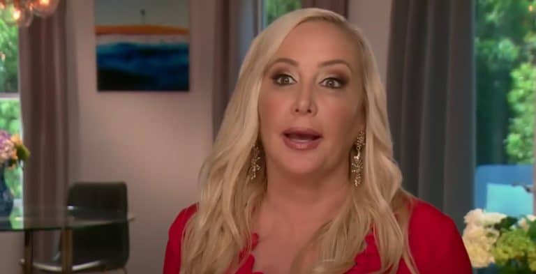 Shannon Beador-YouTube