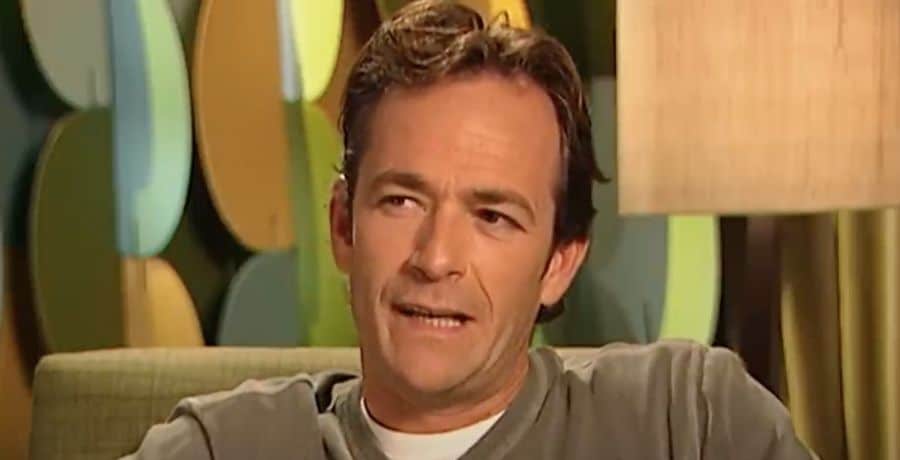 Luke Perry in interview during his career