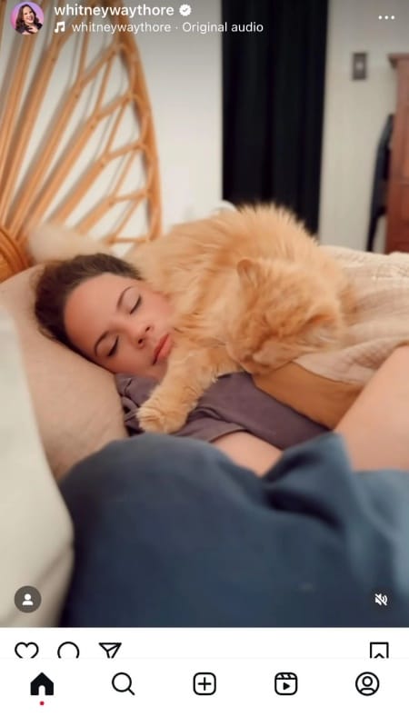 She stages sleeping with her cat and dog. - Reddit