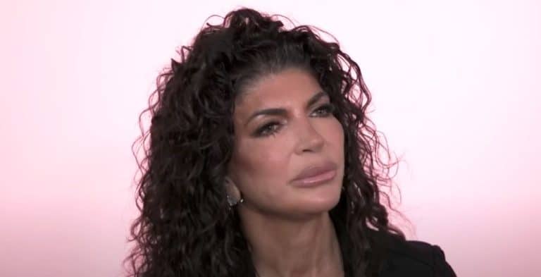 Teresa Giudice on Real Housewives of New Jersey