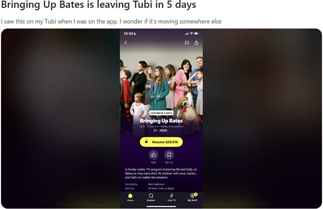 The Bates Family From Bringing Up Bates, Sourced From Tubi / Reddit