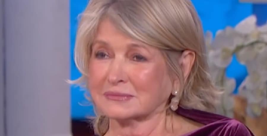 Martha Stewart | YouTube