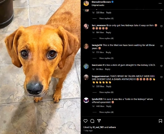 Meri Brown's dog, Zona, looks at her after she trashes a fresh pack of gum. - Instagram