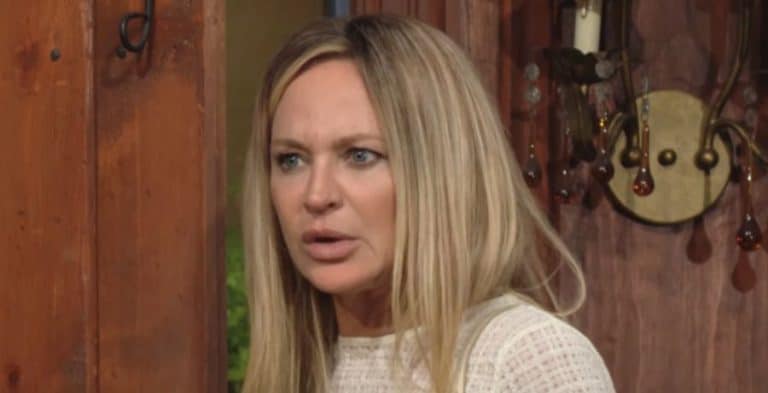 Sharon Case as Sharon Newman on Young & Restless