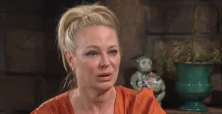 Sharon Case playing Sharon Newman on Young & Restless