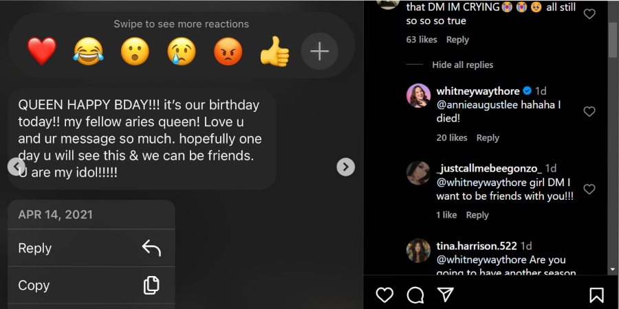 Annie Palmer reached out - Instagram