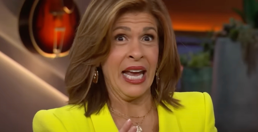 Hoda Kotb From 'Today' | YouTube