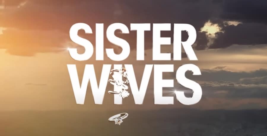 Sister Wives Logo-YouTube