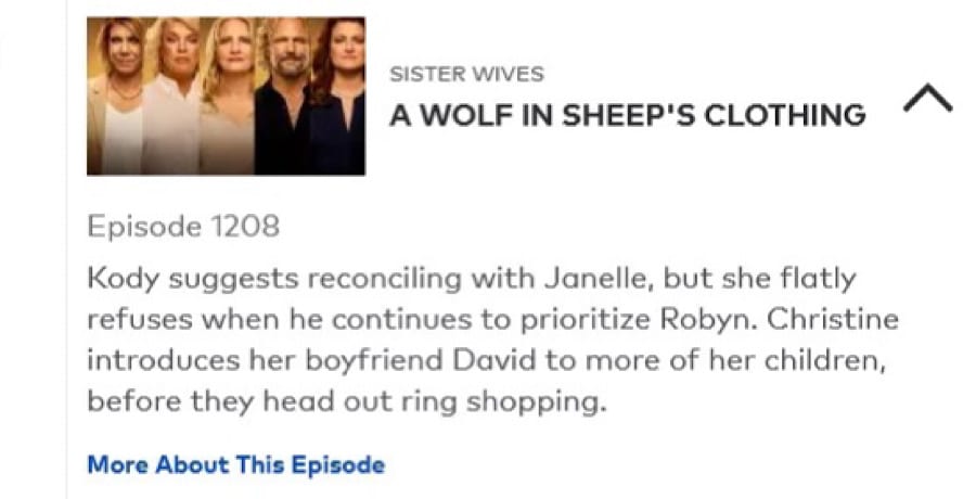 Sister Wives Show Description-Reddit