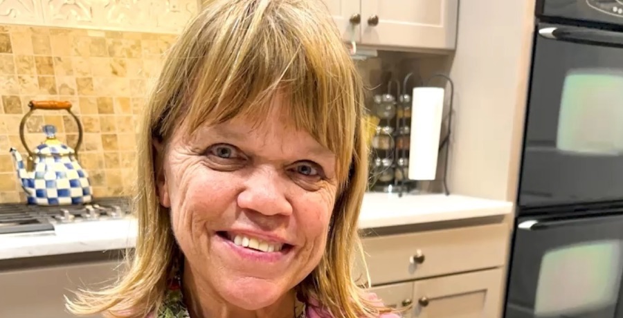 Little People Big World: Amy Roloff