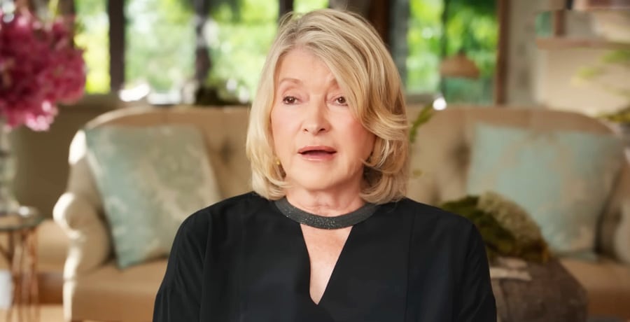 Martha Stewart documentary | YouTube