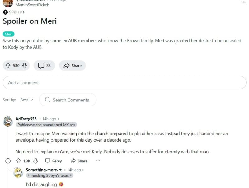 Screenshot from Reddit about Meri Brown from Sister Wives