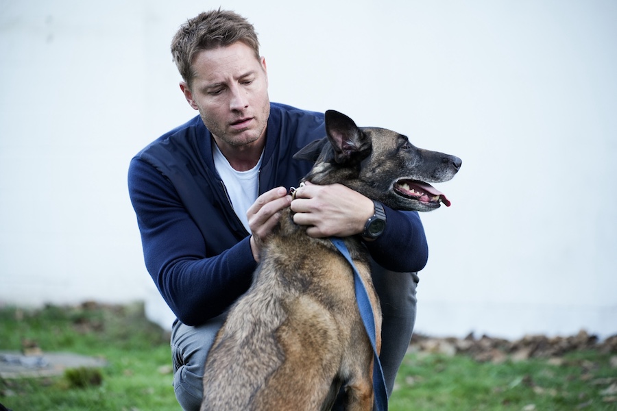 Pictured: Justin Hartley as Colter Shaw and Park as Barkley The Dog. Photo: Darko Sikman/CBS ©2024 CBS Broadcasting, Inc. All Rights Reserved.