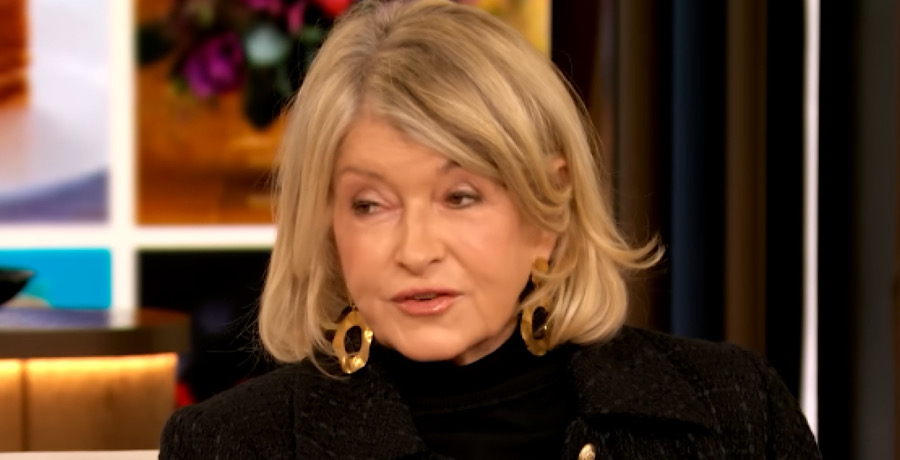 Martha Stewart-YouTube