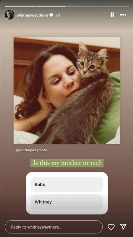 Whitney Way Thore posts a poll asking if the picture is her or Babs Thore. - Instagram