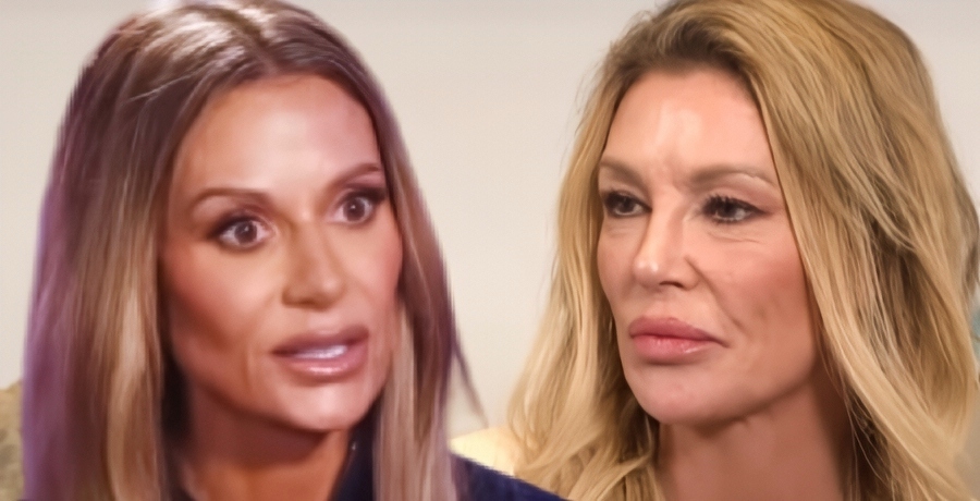 Dorit Kemsley, Brandi Glanville-YouTube