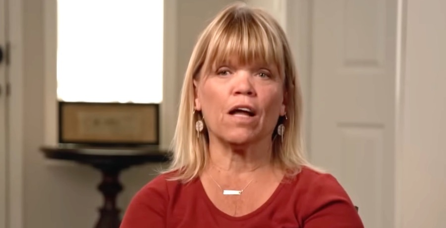 Little People Big World: Amy Roloff