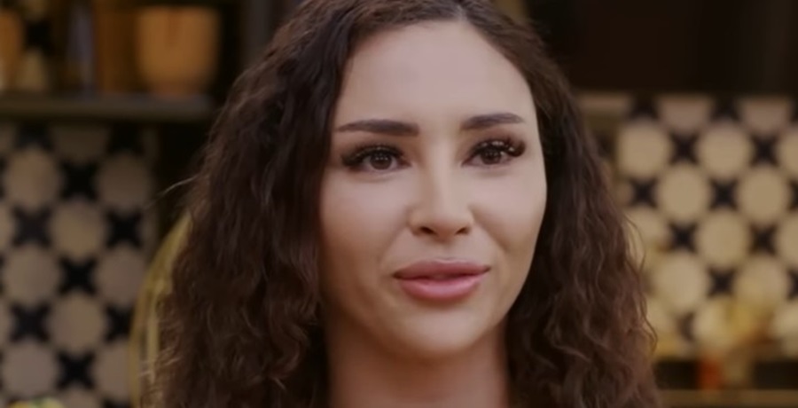 '90 Day Fiance' Sophie Sierra's New Career Amid Split Rumors