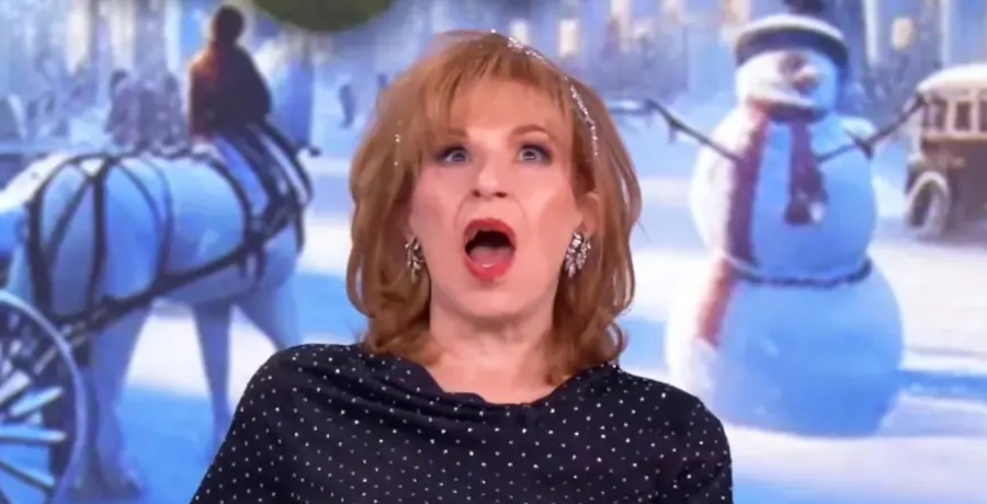 The View: Joy Behar