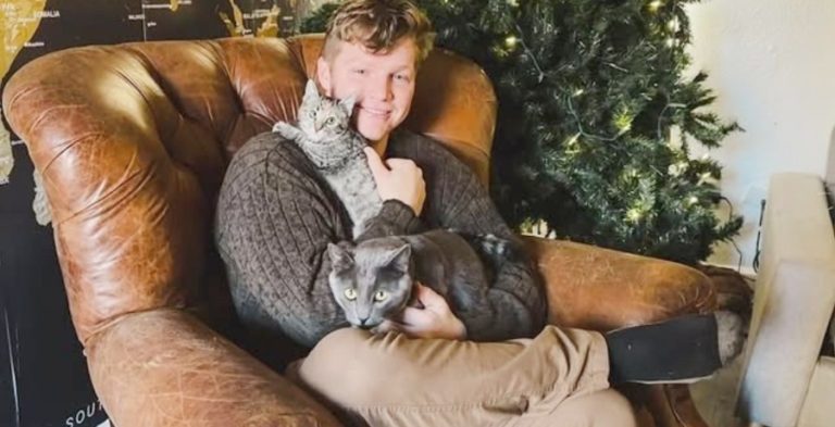 Garrison Brown and his cats from Instagram