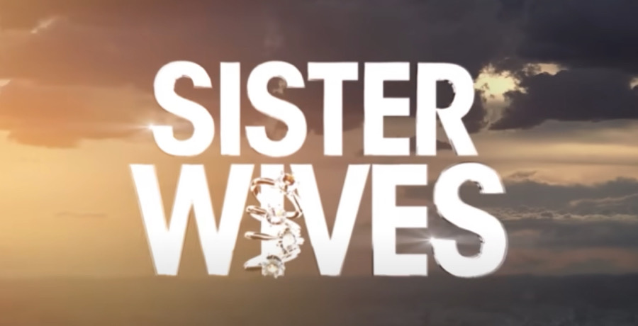 Sister Wives Logo-YouTube