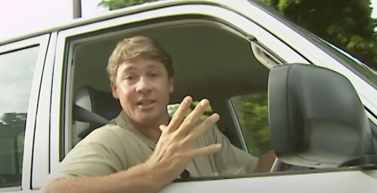 Steve Irwin from Real Wild on YouTube