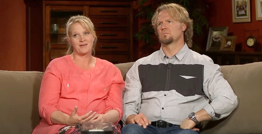 Kody Brown and Christine Brown from Sister Wives, TLC, sourced from YouTube