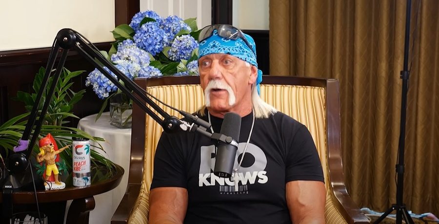 Hulk Hogan Youtube