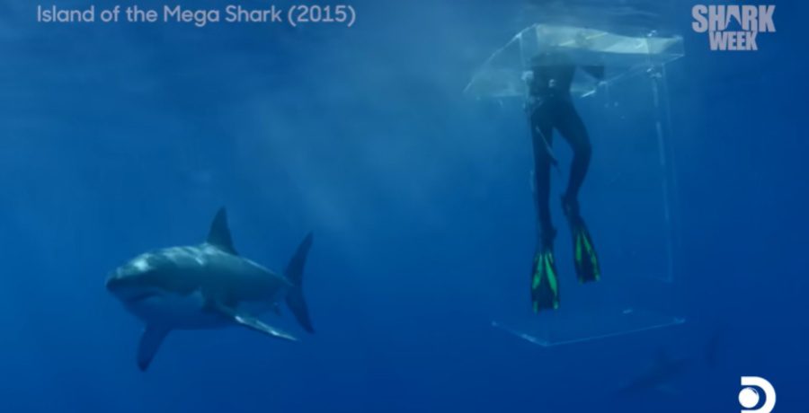 Shark Week YouTube