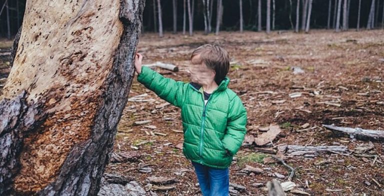 Boy - Wikimedia Commons
