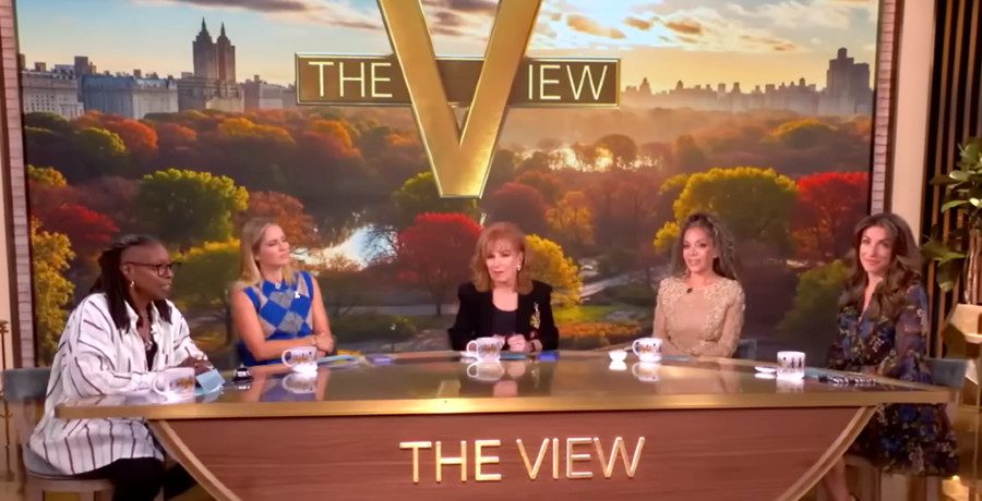 'The View' archives/Credit: YouTube