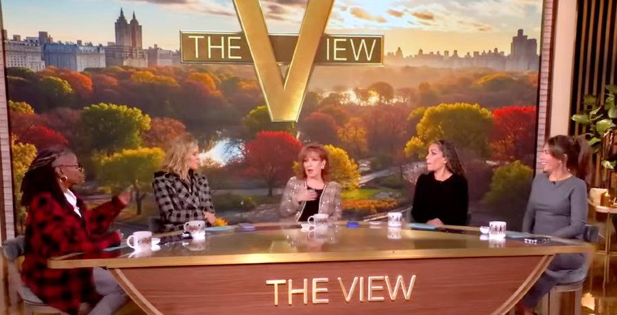 'The View' hosts/Credit: YouTube