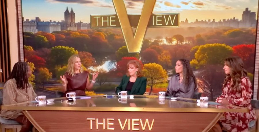 'The View' hosts/Credit: YouTube