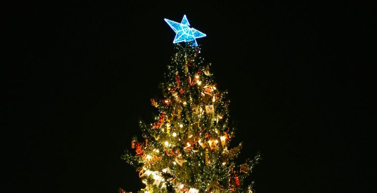 Christmas tree - Pexels