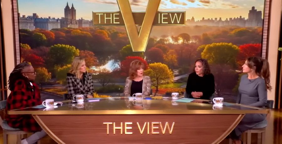 'The View' hosts/Credit: YouTube