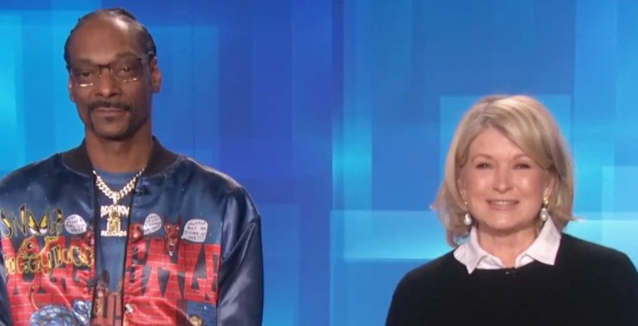 Snoop Dogg & Martha Stewart Partner Up